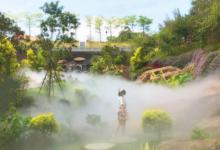 莲花山旅游区-莲花仙境3
