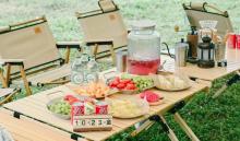 专登露营地9
