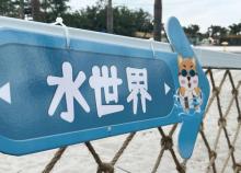 南莲湾・露营・烧烤・团建7