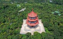 荔枝公园4