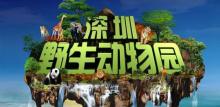 深圳野生动物园3