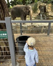 深圳野生动物园20