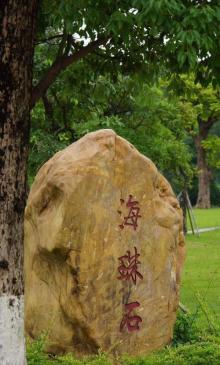 琶洲塔公园9