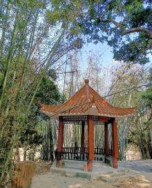 蒙花布村6