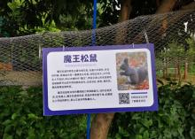 绿沃川智慧农业观光园17