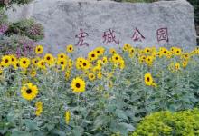 二沙岛宏城公园29