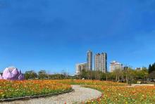 二沙岛宏城公园17