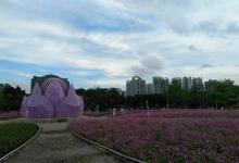 二沙岛宏城公园30