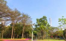 二沙岛宏城公园21