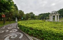 二沙岛宏城公园6