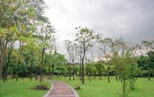 二沙岛宏城公园15