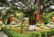 宝林寺6