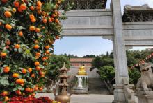 宝林寺8