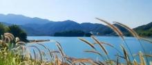 小杉村1