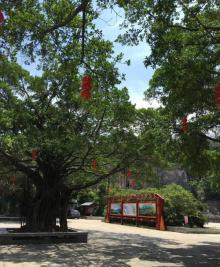 李小龙乐园3