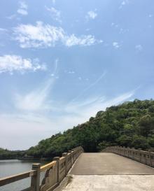 李小龙乐园20