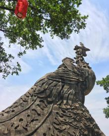 李小龙乐园8