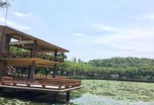 李小龙乐园23