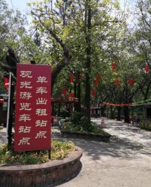 李小龙乐园11