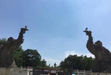 李小龙乐园7