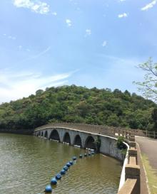 李小龙乐园18