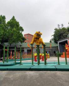 黄飞鸿狮艺武术馆21