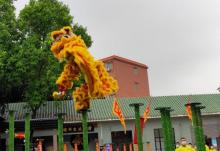 黄飞鸿狮艺武术馆11