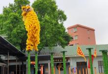 黄飞鸿狮艺武术馆14