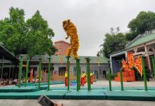 黄飞鸿狮艺武术馆18