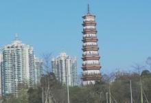 赤岗塔8