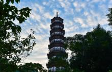 赤岗塔6