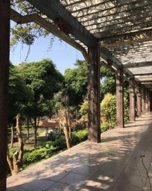 华南农业大学湿地公园10