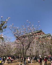 华南农业大学湿地公园11