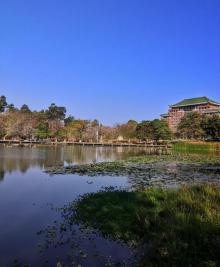 华南农业大学湿地公园4