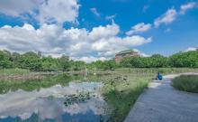 华南农业大学湿地公园1