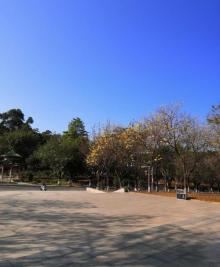 华南农业大学湿地公园6