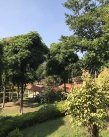 华南农业大学湿地公园14