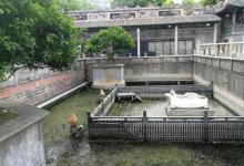 万福台8