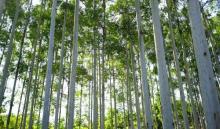 北迹露营1号露营地7
