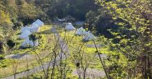风铃谷Hub Camp露营地4