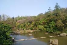 云溪生态公园18
