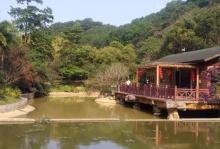 云溪生态公园17