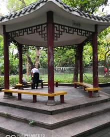 磨碟沙公园6
