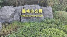 鹿鸣山公园1