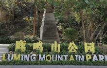 鹿鸣山公园2