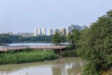 花都湿地公园4
