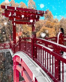展旗峰生态公园16