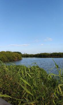 南沙湿地・寻梦园23