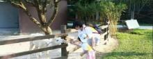 北纬23°8′森林营地25
