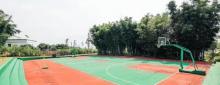 北纬23°8′森林营地11